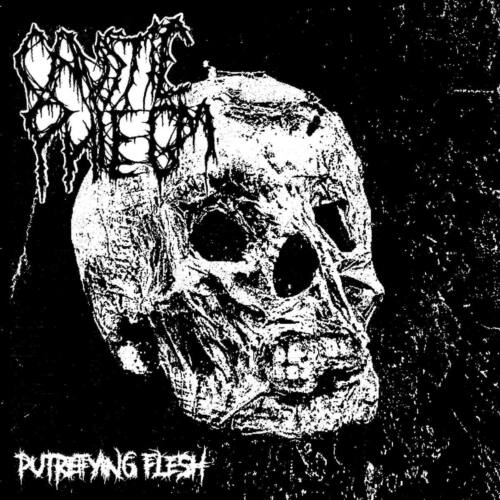 Read more about the article Death metallers CAUSTIC PHLEGM release their debut demo “Putrefying Flesh”