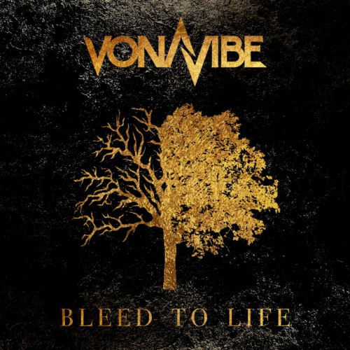 Read more about the article VONAVIBE “BLEED TO LIFE” album review