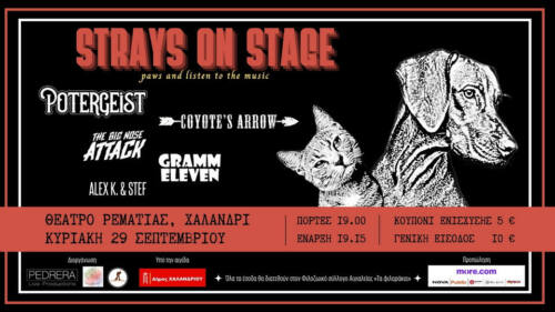 Read more about the article Strays on Stage | Συναυλία Ενίσχυσης Φιλοζωικού Συλλόγου Αιγιαλείας | 29.09.24, Θέατρο Ρεματιάς